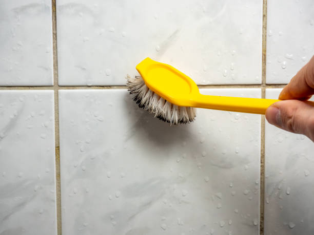 Best Attic Mold Removal  in Adelanto, CA