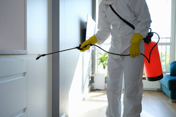 Professional Mold Removal in Adelanto, CA